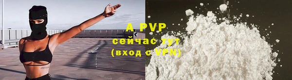 стаф Беломорск