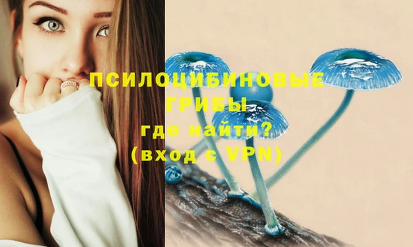 стаф Беломорск