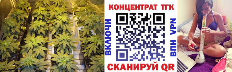 ТГК Wax  Буинск 